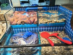 -海汕记·潮汕鲜牛肉火锅·自助