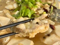 -煲来饱去冷水鱼