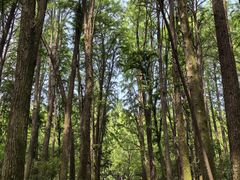 -同里国家湿地公园
