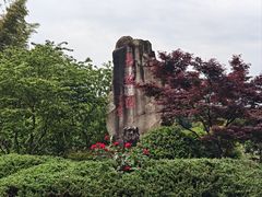 -宜兴龙背山森林公园