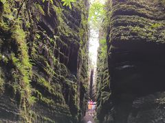 -梭布垭石林景区