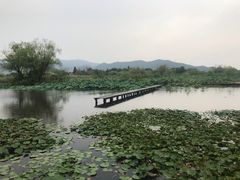 -长兴太湖图影湿地文化园