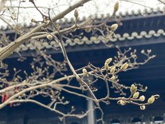 -上海皇廷花园酒店·西餐厅·自助餐