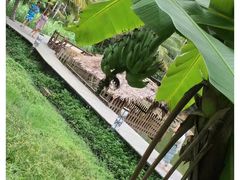 -三亚蜈支洲岛旅游区