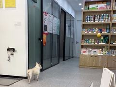 -四月宠物医院·猫专科·心脏专科·内科(转塘店)