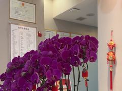 -土豆口腔(凤凰北总店)