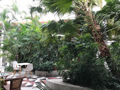 -红栌温泉山庄生态美食餐厅