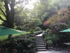 -十八棵（老龙井）御茶园(老龙井店)