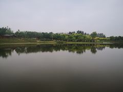 -东郊湿地公园