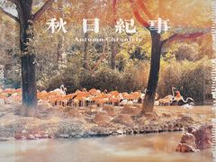 -上海野生动物园