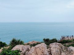-广东惠东海龟国家级自然保护区