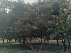 -东升文体公园
