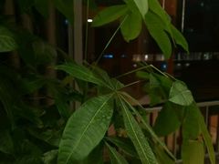 -康熙养生SPA·轻奢足道(江宁万达店)