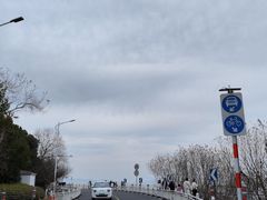 -东山风景区(洞庭东山)