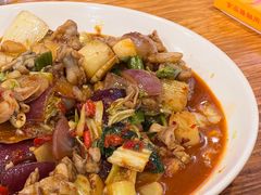 -瑞丽活螃蟹(芒市店)