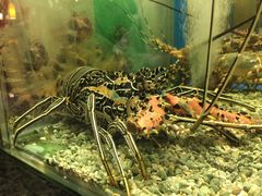 -Isla Sugbu Seafood City