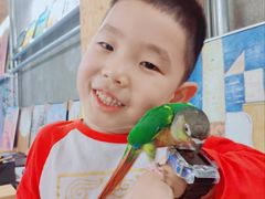 -吾叁·吉趣鸟咖(万科店)