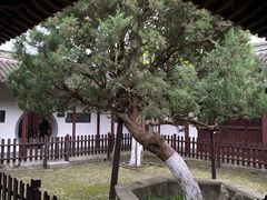 -水绘园