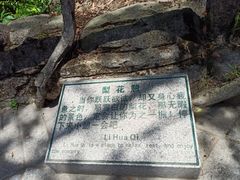 -梧桐山风景名胜区