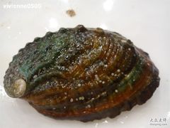 壳也挺好看的..-海岛渔村大酒店(云霄路店)
