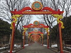 -洛阳市隋唐城遗址植物园