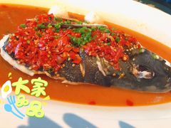 剁椒鱼头-凤凰湘语·湘粤鲜融(浦东旗舰店)