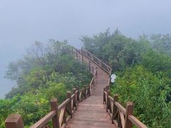 -大岭沟猕猴桃谷风景区
