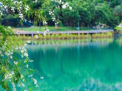 -水濂山森林公园