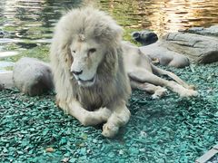 -北京野生动物园