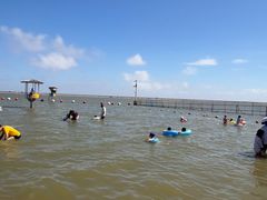 -碧海金沙