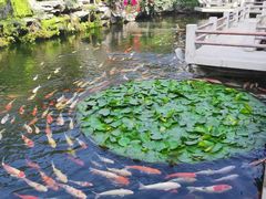 -桃园盛宴·岭南粤菜·手工茶点(南庄店)