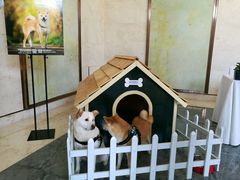 -上海崇明金茂凯悦酒店