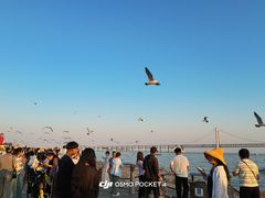 -星海广场