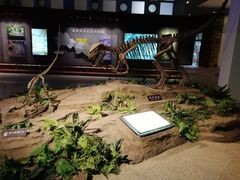 -自贡恐龙博物馆