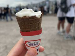 -富豪雪糕车流动点(尖沙咀店)