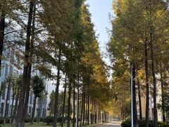 -杭州师范大学(下沙校区)