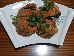 -呼吸森林·生态农庄农家乐私房菜