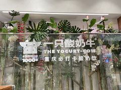-一只酸奶牛(八一路店)