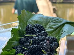 -丝绸小镇荻港古村