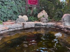 -中家鑫园温泉酒店鑫悦汤泉