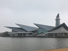-盐城丹顶鹤湿地生态旅游区