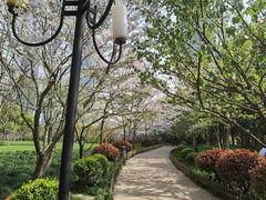 -陆家嘴中心绿地