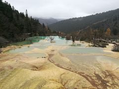 -黄龙山原始森林景区