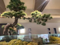 -单家老院·院子里的青岛菜(沙子口店)