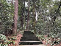 -缙云山景区