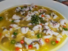 青花椒味砂锅鱼-青花椒花椒鱼(合生汇店)