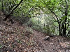 -蒲河岛湿地公园