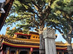 -五台山风景名胜区