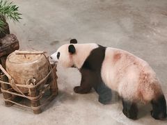 -杭州动物园