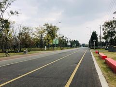 -国际非物质文化遗产博览园